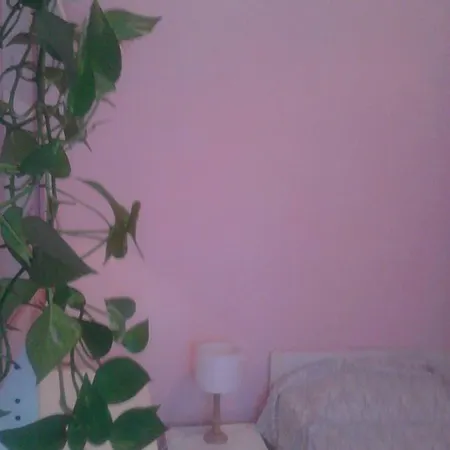 Central Art House Guest house *